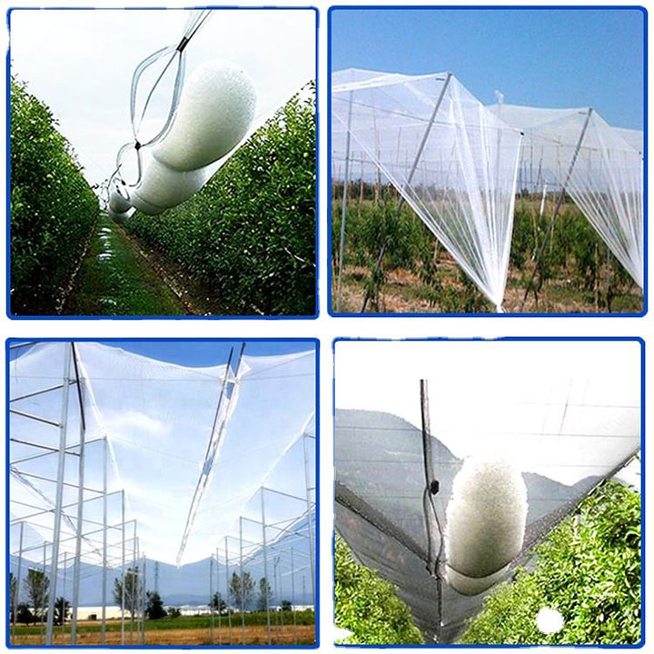 Tangkal Buah Plastik Netting Hail Protection Anti Hujan Es Net