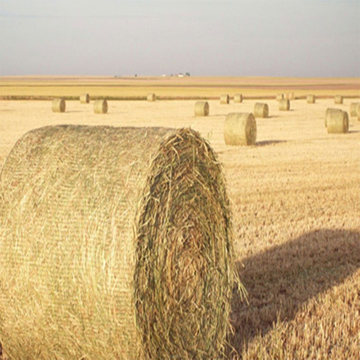 HDPE Biodegradable Bale Bungkus Net pikeun Tatanén